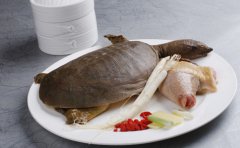 七夕节过后如何补肾 推荐八种最佳食物